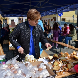 prochowicki-jarmark-fot-ewajak013.JPG