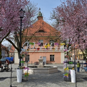 prochowicki-jarmark-fot-ewajak030.JPG