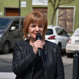 prochowicki-jarmark-fot-ewajak247.JPG