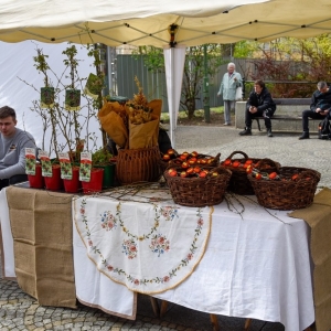 Jarmark-Wielkanocny_Legnica-BS_29.jpg