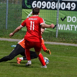 bieniowice-mewa-fot-ewajak011.JPG