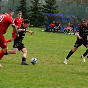 bieniowice-mewa-fot-ewajak045.JPG
