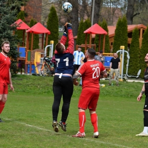 bieniowice-mewa-fot-ewajak064.JPG