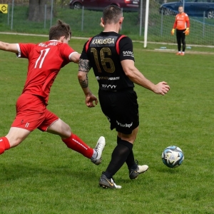bieniowice-mewa-fot-ewajak094.JPG