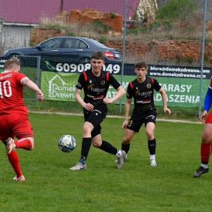 bieniowice-mewa-fot-ewajak099.JPG