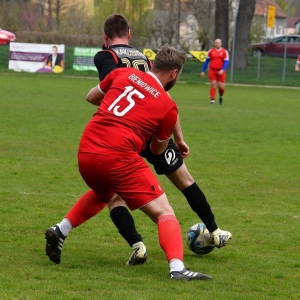 bieniowice-mewa-fot-ewajak149.JPG