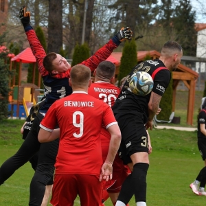 bieniowice-mewa-fot-ewajak156.JPG