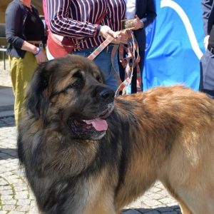 oywarcie-sezonu-tur-fot-ewajak053.JPG