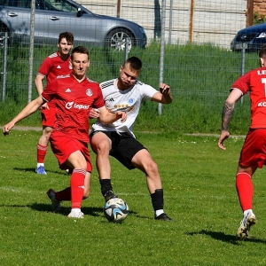 bieniowice-legsad-fot-ewajak014.JPG