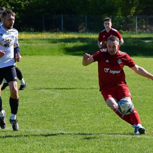 bieniowice-legsad-fot-ewajak018.JPG