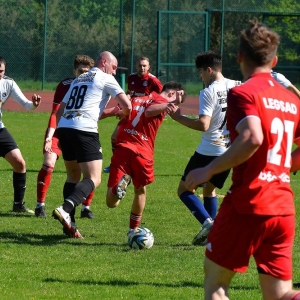 bieniowice-legsad-fot-ewajak039.JPG