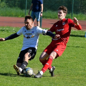 bieniowice-legsad-fot-ewajak070.JPG