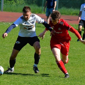 bieniowice-legsad-fot-ewajak072.JPG