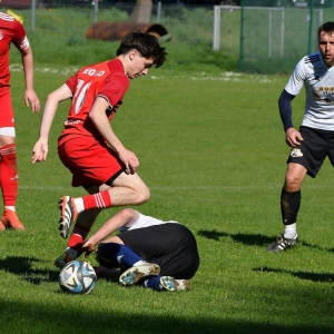 bieniowice-legsad-fot-ewajak111.JPG