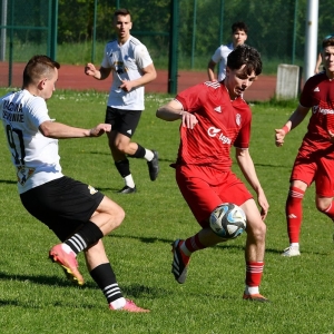 bieniowice-legsad-fot-ewajak122.JPG