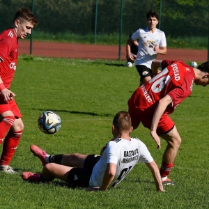 bieniowice-legsad-fot-ewajak129.JPG