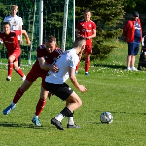 bieniowice-legsad-fot-ewajak146.JPG