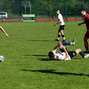 bieniowice-legsad-fot-ewajak157.JPG