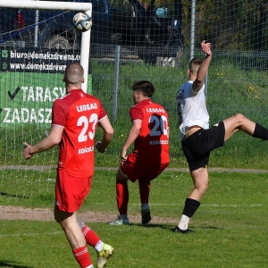 bieniowice-legsad-fot-ewajak168.JPG
