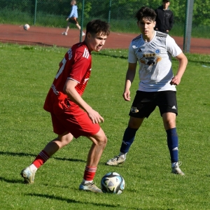 bieniowice-legsad-fot-ewajak178.JPG