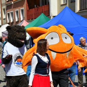 parada-rowerow-fot-zjak165.JPG