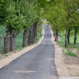 cyklostrada-pielgrzymka-fot-zjak002.JPG