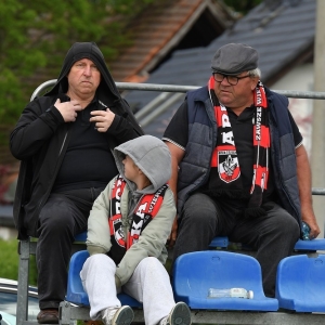 dab-arka-fot-ewajak116.JPG