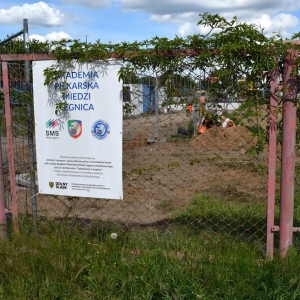 hala-akademii-miedz-fot-ewajak010.JPG