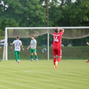 prochowice-odra-scinawa-fotBS_40.jpg