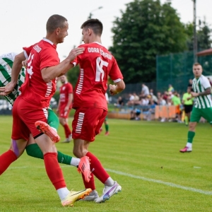 prochowice-odra-scinawa-fotBS_89.jpg