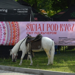 kyczera-legpol-fot-zjak097.JPG