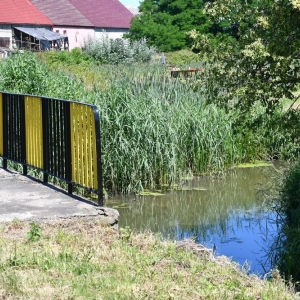 pomoc-dla-melioracji-fot-zjak04.JPG