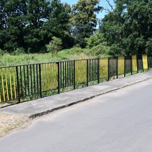 pomoc-dla-melioracji-fot-zjak05.JPG