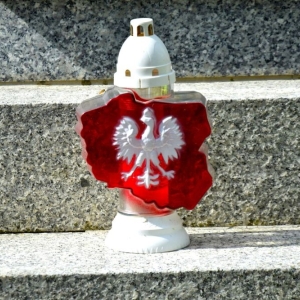 odsloniecie-tablicy-nowej-wsi-legnickiej39.jpg
