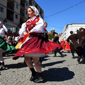 kyczera-legnica-fot-ewajak101.JPG