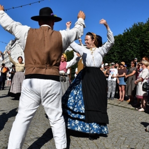 kyczera-legnica-fot-ewajak256.JPG