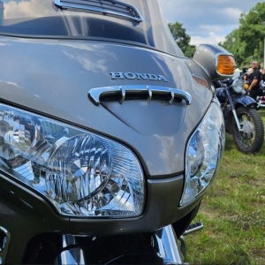 blues-nad-odra-fot-jagoda-balicka35.JPG