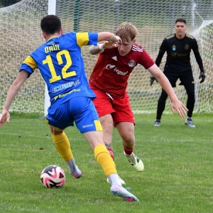 legsad-dzierzoniow-fot-ewajak164.JPG
