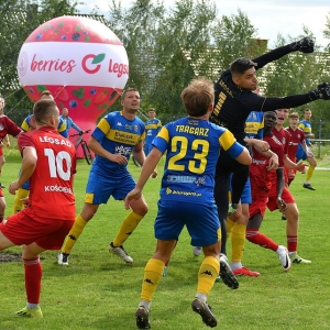 legsad-dzierzoniow-fot-ewajak201.JPG
