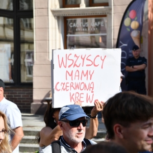 marsz_roznorodnosci_legnica_fot_dawid_soltys030.JPG