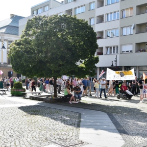 marsz_roznorodnosci_legnica_fot_dawid_soltys094.JPG
