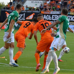 zl-lechia-fot-ewajak138.JPG