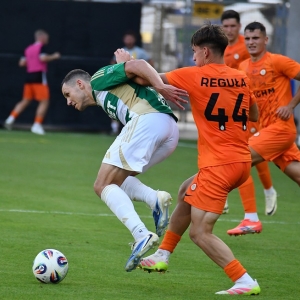 zl-lechia-fot-ewajak160.JPG