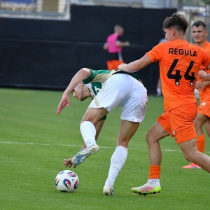 zl-lechia-fot-ewajak161.JPG