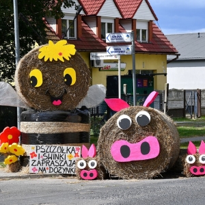 dozynki-zagrodno-fot-zjak001.JPG