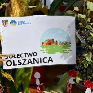 dozynki-zagrodno-fot-zjak134.JPG