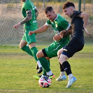 legsad-piast-fot-ewajak013.JPG