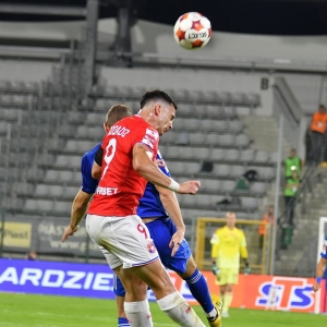 miedz-wisla-fot-ewajak066.JPG