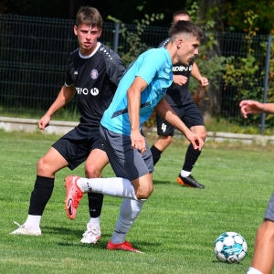 koskowice-jawor-fot-ewajak057.JPG