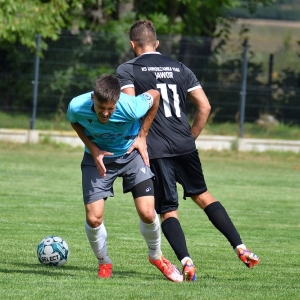 koskowice-jawor-fot-ewajak071.JPG